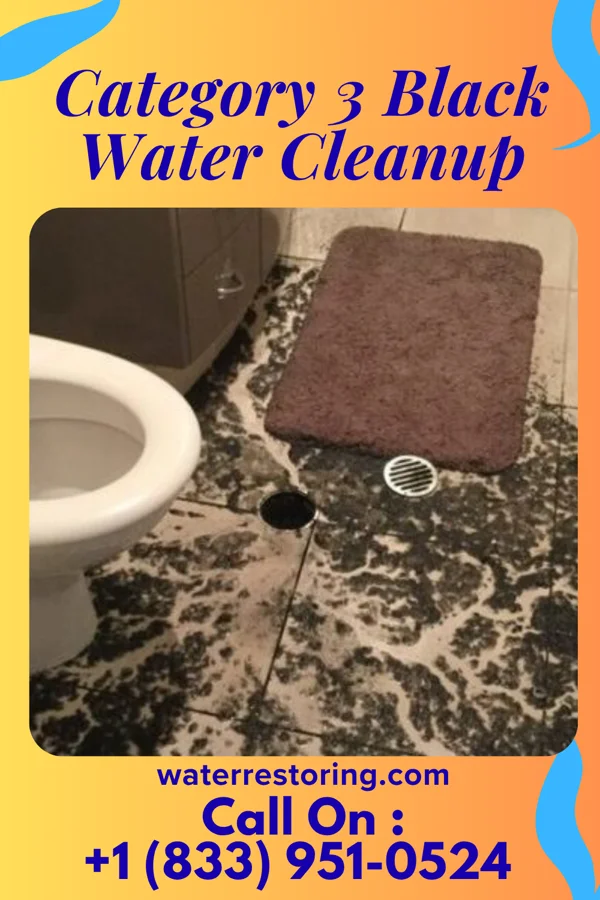 Category 3 Black Water Cleanup in Conshohocken, PA