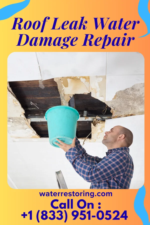 Roof Leak Water Damage Repair in Conshohocken, PA